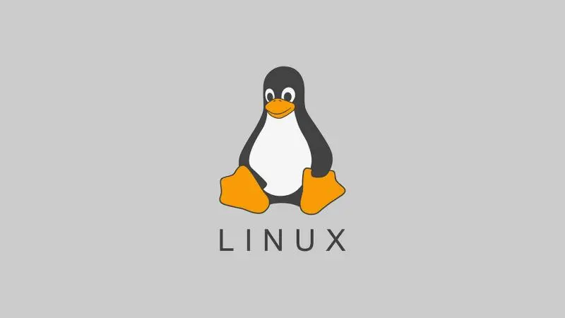 Simple Linux Shell